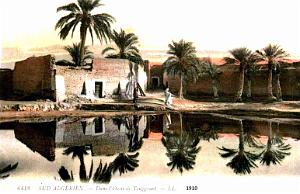 TOUGGOURT - OASIS - 1910
